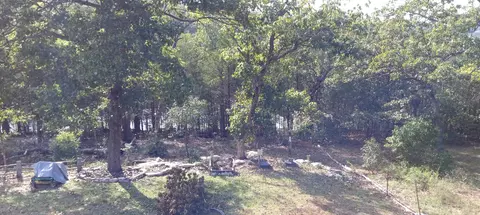 Exterior - 721 Pack Ln, Lampe, MO 65681 photo 4 of 6