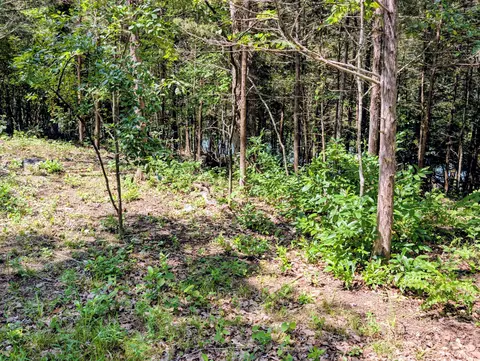 Exterior - 721 Pack Ln, Lampe, MO 65681 photo 5 of 6