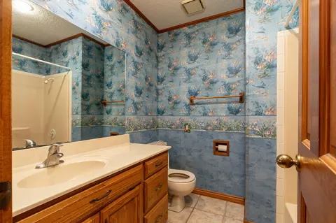 Bath - 1332 W Mcgee St, Springfield, MO 65807 photo 3 of 3