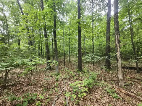 5853 Missouri 5, Hartville, MO 65667