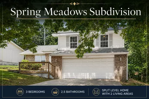 307 Spring Meadow Pkwy, Branson, MO 65616