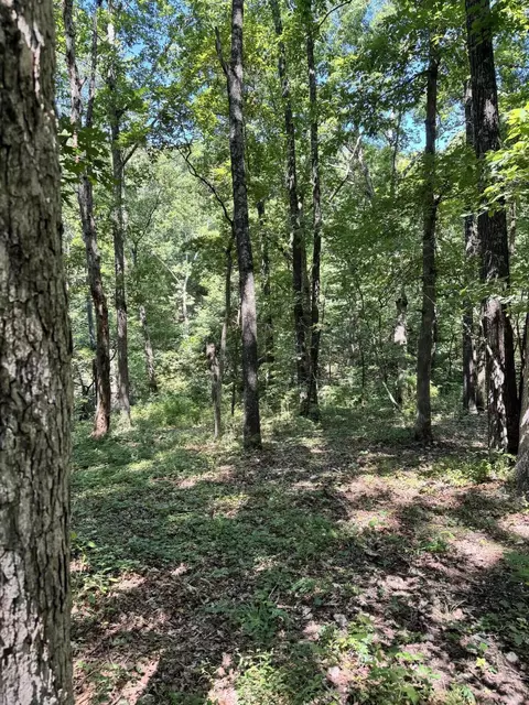 000 Clear Sky Dr, Marshfield, MO 65706 photo 2