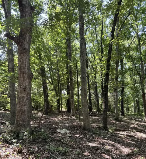 000 Clear Sky Dr, Marshfield, MO 65706 photo 3