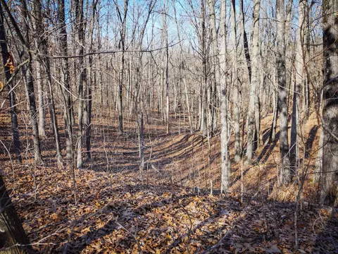 000 Ridge Trail Rd #LOT D, Tunas, MO 65764 photo 4