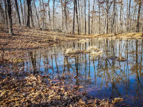 000 Ridge Trail Rd #LOT E, Tunas, MO 65764 photo 3