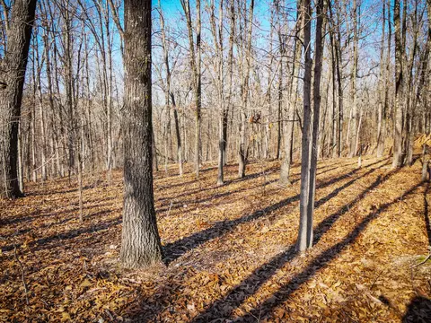 000 Ridge Trail Rd #LOT E, Tunas, MO 65764 photo 2