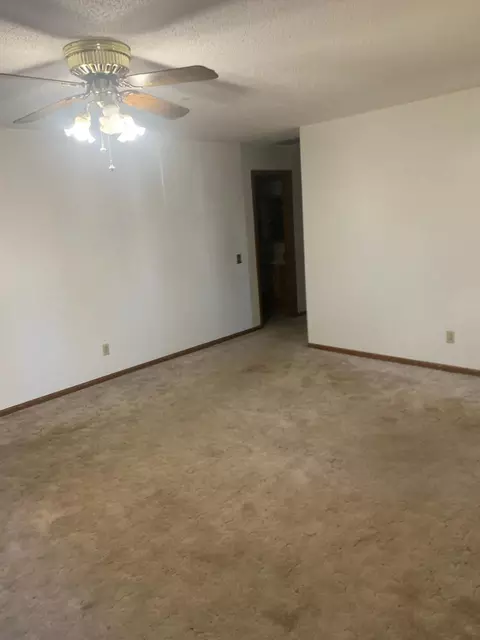 207 Kay Ave, Purdy, MO 65734 photo 6