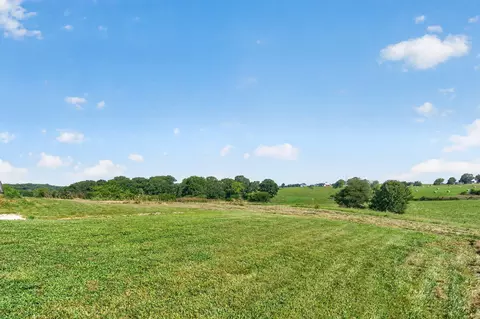 338 Skyla Dr, Ozark, MO 65721 photo 53