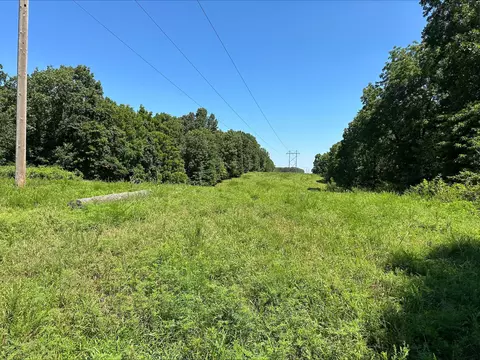 tbd A State Highway 174, Mount Vernon, MO 65712 photo 9