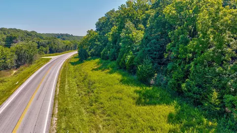 tbd A State Highway 174, Mount Vernon, MO 65712 photo 19