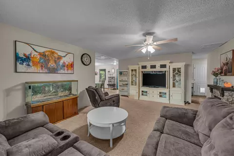 Living - 17883 County Road 522, Gainesville, MO 65655 photo 3 of 3