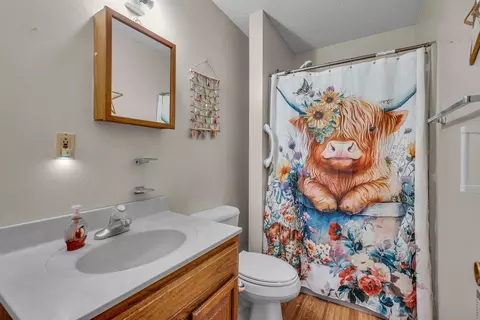 Bath - 17883 County Road 522, Gainesville, MO 65655 photo 3 of 4