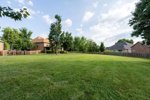 Exterior - 803 E Carleton St, Springfield, MO 65810 photo 12 of 18