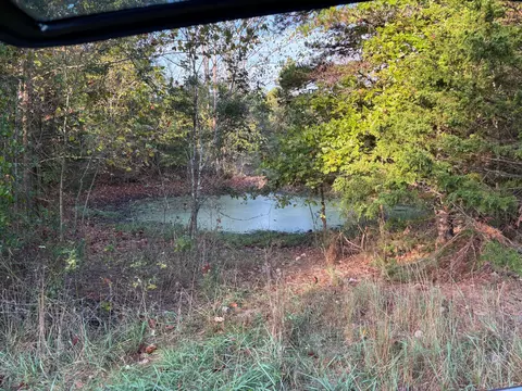 tbd County Road 14-252, Drury, MO 65638 photo 5