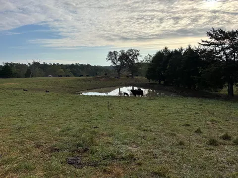 tbd County Road 14-252, Drury, MO 65638 photo 23