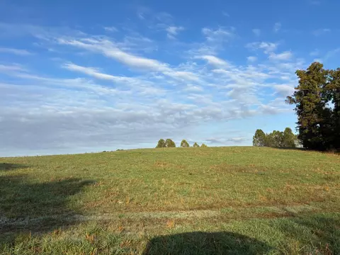tbd County Road 14-252, Drury, MO 65638 photo 15