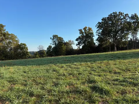 tbd County Road 14-252, Drury, MO 65638 photo 11