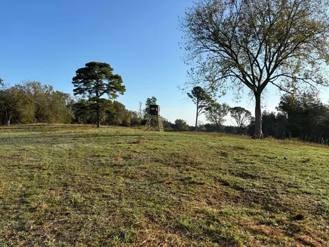 tbd County Road 14-252, Drury, MO 65638 photo 7