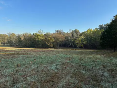 tbd County Road 14-252, Drury, MO 65638 photo 18