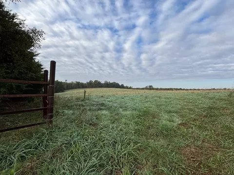 tbd County Road 14-252, Drury, MO 65638 photo 28