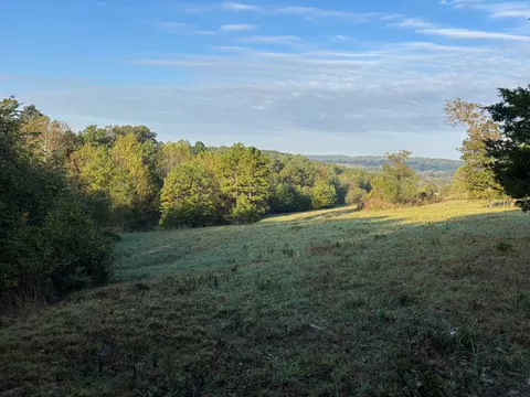 tbd County Road 14-252, Drury, MO 65638 photo 6