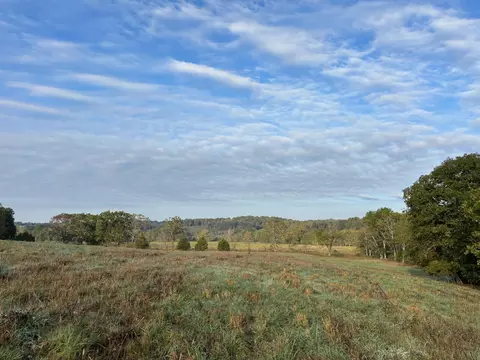 tbd County Road 14-252, Drury, MO 65638 photo 19