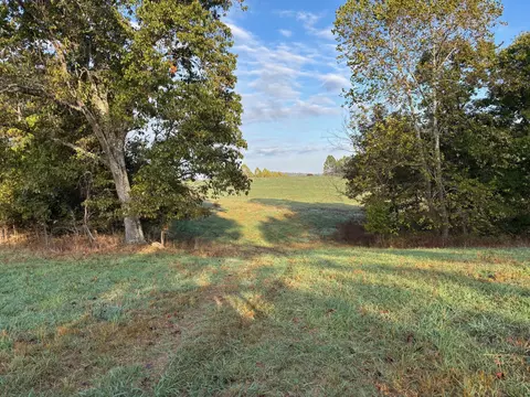 tbd County Road 14-252, Drury, MO 65638 photo 13
