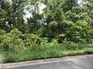 75 Skylee Dr, Hollister, MO 65672