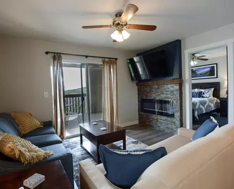 Living - 17 Goldfinch Rd #3, Branson, MO 65616 photo 3 of 3