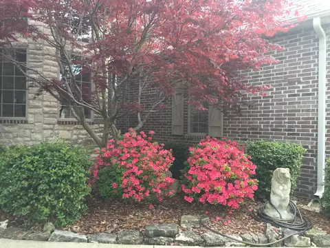 Exterior - 3905 E Windsmore Dr, Springfield, MO 65802 photo 9 of 10