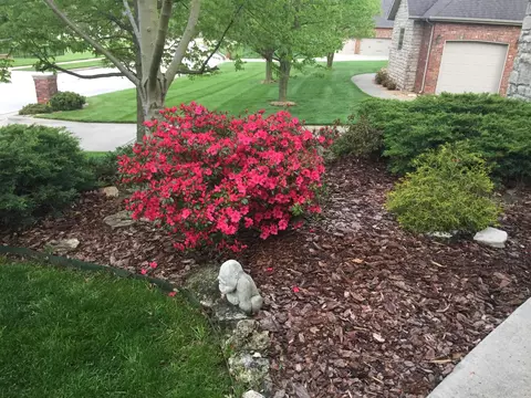 Exterior - 3905 E Windsmore Dr, Springfield, MO 65802 photo 10 of 10