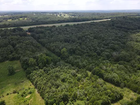 000 County Road 359, Thayer, MO 65791 photo 12