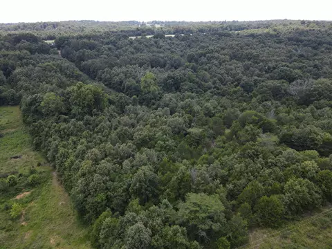 000 County Road 359, Thayer, MO 65791 photo 11