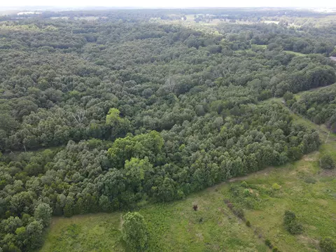 000 County Road 359, Thayer, MO 65791 photo 20