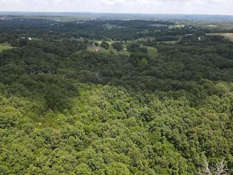 000 County Road 359, Thayer, MO 65791 photo 17