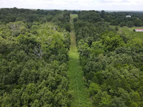 000 County Road 359, Thayer, MO 65791 photo 9