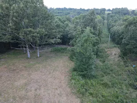 000 County Road 359, Thayer, MO 65791 photo 5