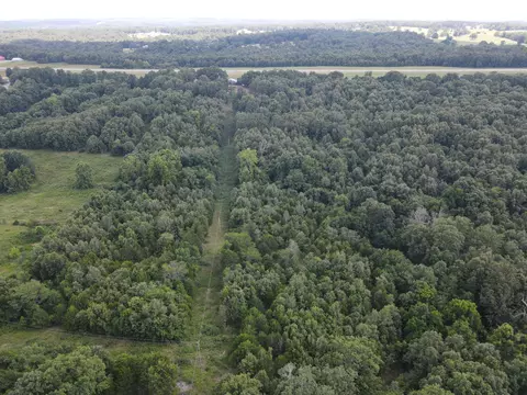 000 County Road 359, Thayer, MO 65791 photo 22
