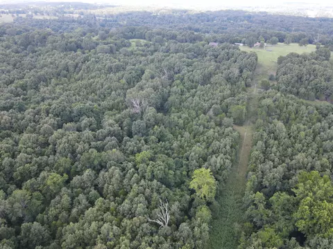 000 County Road 359, Thayer, MO 65791 photo 24