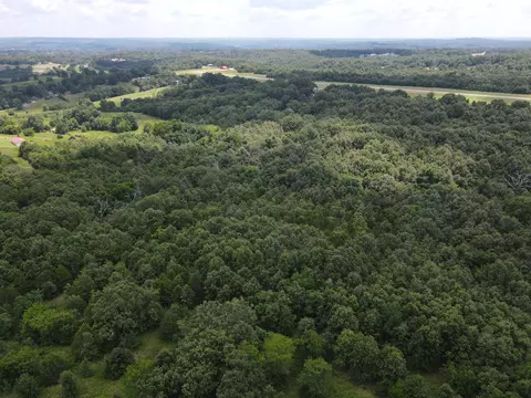 000 County Road 359, Thayer, MO 65791 photo 14