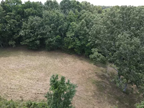 000 County Road 359, Thayer, MO 65791 photo 7