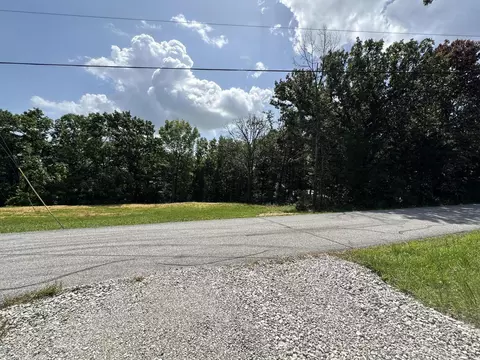 234 Goldfinch Ln, Shell Knob, MO 65747 photo 4