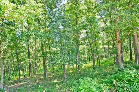 Exterior - 538 Munson Hill Dr, Marshfield, MO 65706 photo 9 of 9