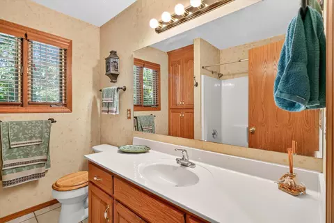 Bath - 538 Munson Hill Dr, Marshfield, MO 65706 photo 2 of 3