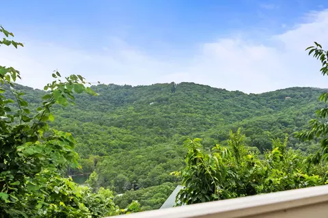 View/Area - 29 Stone Cliff Cir #1, Branson, MO 65616 photo 3 of 10