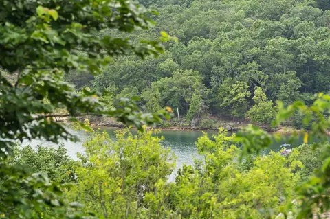 View/Area - 29 Stone Cliff Cir #1, Branson, MO 65616 photo 4 of 10