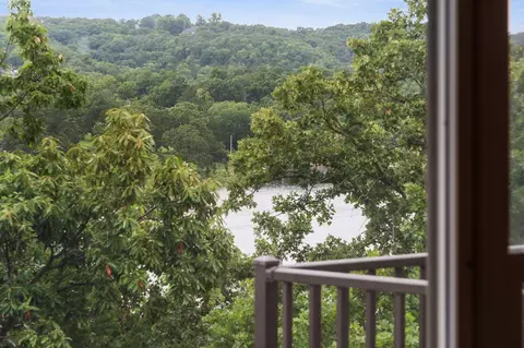 View/Area - 348 Sunset Cove Ln #434, Branson, MO 65616 photo 2 of 11