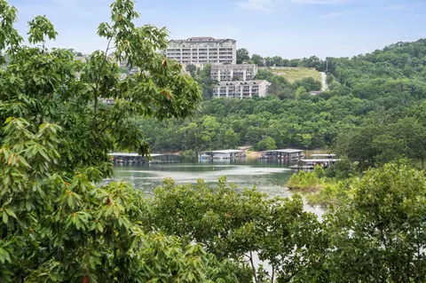 View/Area - 348 Sunset Cove Ln #434, Branson, MO 65616 photo 5 of 11
