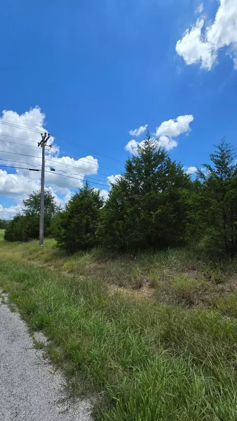 000 Lookout Rdg, Branson, MO 65616 photo 3