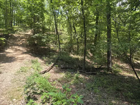 8 State Highway C, Purdy, MO 65734 photo 5